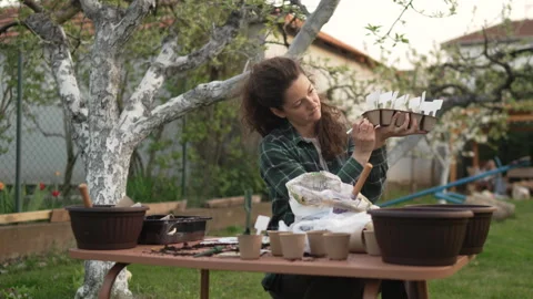 Female gardener preparing biodegradable peat pots for planting Stock Footage 332875205