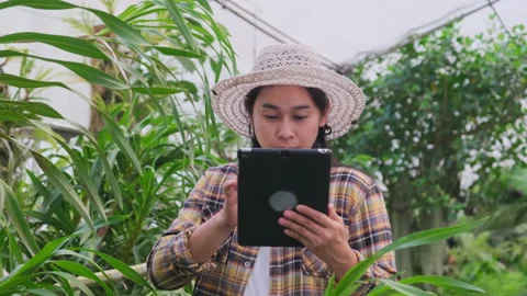 Female gardener uses a tablet computer to work in a greenhouse. Stock Footage 174101319