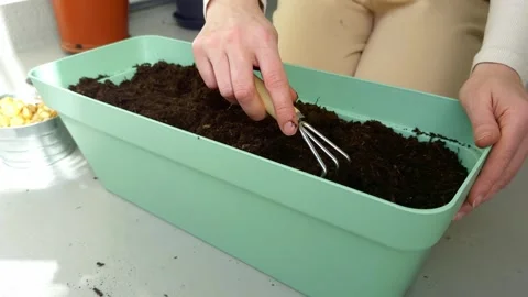 Female gardener using a hand tool to prepare soil in a green planter box Stock Footage 339968832