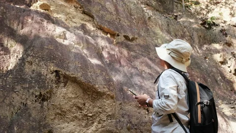 Female geologist using mobile phone inspecting nature, analyzing rocks or pebble Stock Footage 226476403