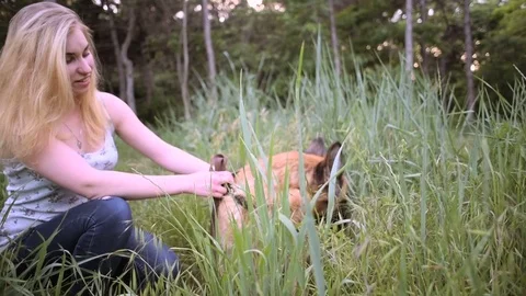 Female with german shepherd dog in park Video stock 81740586