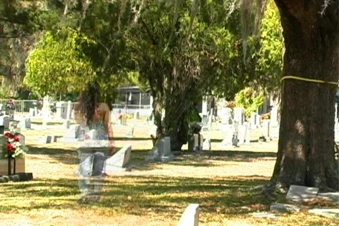 Female Ghost in a Cemetery (2) Stockbeeldmateriaal 352056