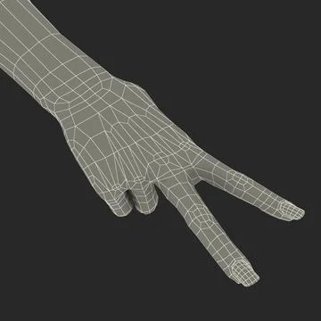 3D Model: Female Hand African American Pose 2 #90911959