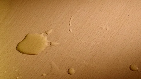 Female hand cleaning table Stock Footage 84057786