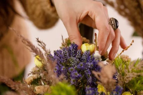Female hand composing a composition of heather flowers. The concept of tender Foto stock