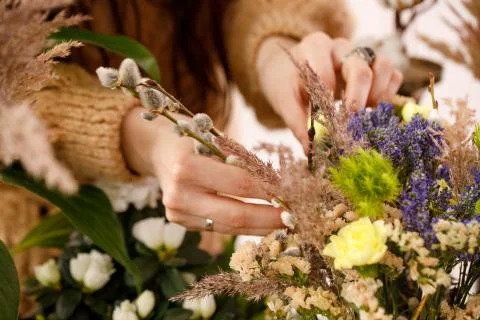 Female hand composing a composition of heather flowers. The concept of tender Stock Photos