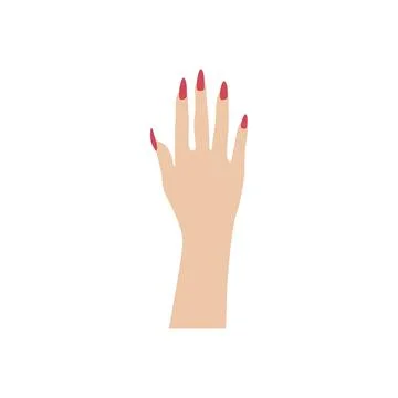 Female Hand with Elegant Red Nails Manicure Isolated on White 스톡 일러스트