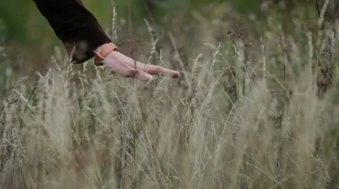 Female hand Stock Footage 12292842