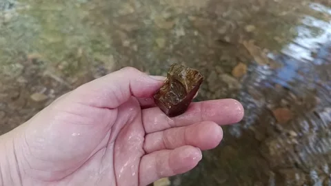 Female hand getting pretty ed jasper stone from the river Stock Footage 258308266