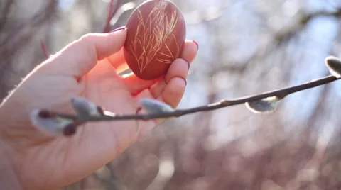 Female hand holds easter egg with pattern and willow branch in spring Stock Footage 63027156