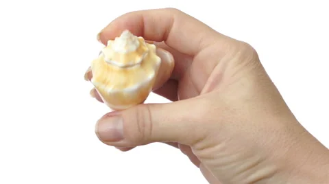 Female Hand Inspects Seashell Video stock 42615366