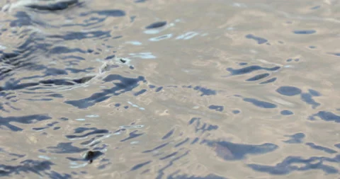 A female hand with a  multi-colored manicure pulls out a pebble from the river Stock Footage 135486595