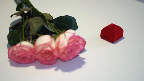 Female hand opens a box with a gold ring on the table near the roses Stock Footage 100289767