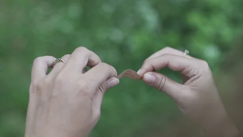 Female hand play with leaf over green grass close up slow motion Stock Footage 97596061