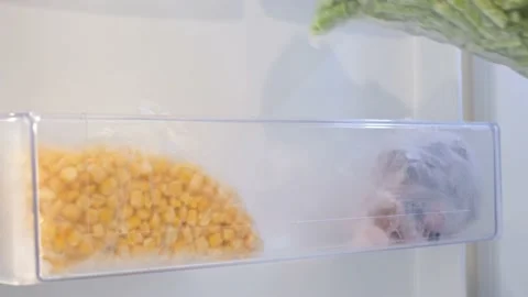 Female hand pulls out frozen vegetables in plastic bag from the refrigerator. Stock Footage 234581306