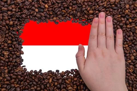 Female hand on a rectangular frame of roasted coffee beans Stock Photos