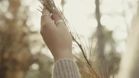 Female hand with rings in the forest holds a branch Stock Footage