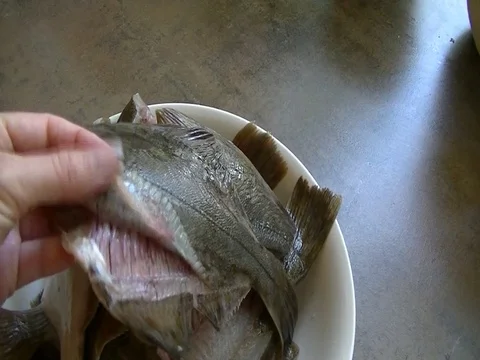 Female hand showing purified fish flounder. Stock Footage