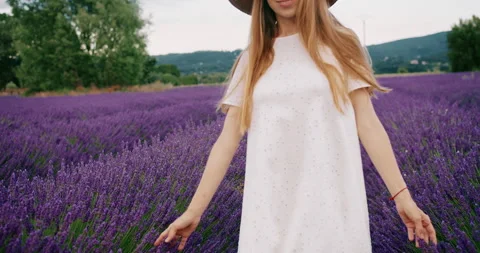 Female hand softly touching a bunch of lavender flowers. Young woman enjoying of Stock-Footage 205865245