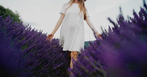 Female hand softly touching a bunch of lavender flowers. Young woman enjoying of Stock-Footage 205867152