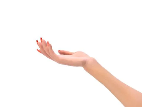 Female hand in a static pose 3d render on white Stock Illustration