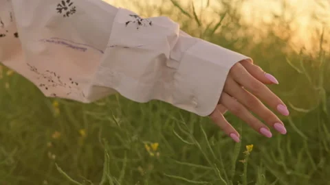 Female hand touch wild grass. Woman walking across field. Close-up of hand. Stock Footage 200747616