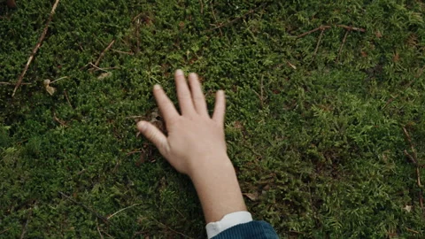 Female hand touching and feeling green moss 스톡 동영상 334098718