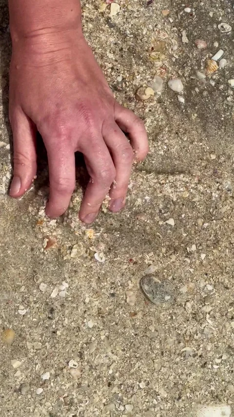 Female hand touching seashell from sand beach near water, ocean or sea shore Stock Footage 306574006