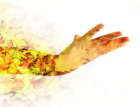 Female hand.Double Exposure. Stock Photos