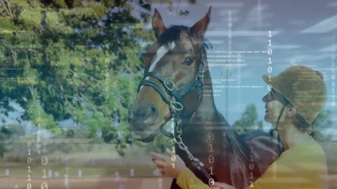 Female handler touching muzzle and checking halter as equine binary overlay 動画素材 333894313