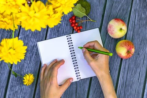Female hands about to write in a notebook surrounded by autumn fruits and f.. Stock Photos