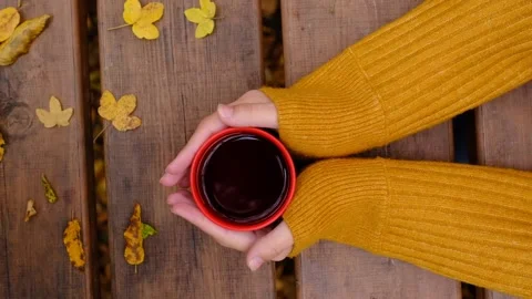 Female hands and mug close, wooden table in the forest and autumn leaves Stock Footage 144043040