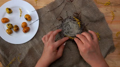 Female hands are decorating nest with flowers and yellow-colored quail eggs Stock Footage 127645702