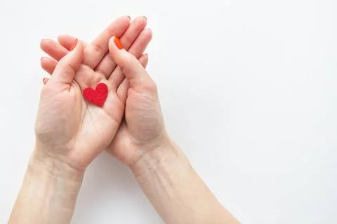 Female hands are holding a small red heart. The concept of care and love. ... Stock Photos