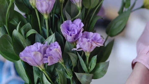 Female hands with beautiful flowers - eustoms of yellow and violet from close Vídeos de archivo 86089162