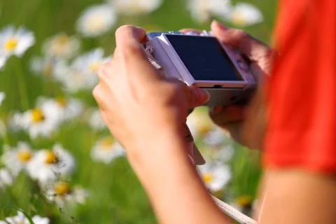 Female hands with camera capturing close-up of wild daisies Stock Photos