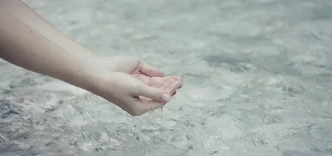 Female hands capturing clear wild river water stream beautiful Alps nature Stock Footage 140329914