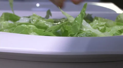 Female hands checking lettuce  Stock Footage 47965957