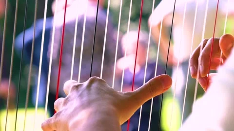 Female Hands Close Up Shot While Playing a Harp, Sunny Day, Slow Motion Stock Footage 161129418