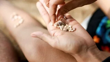 Female hands collect pattern of shells and sand, close up. Video. Pieces of Stock Footage 85820063
