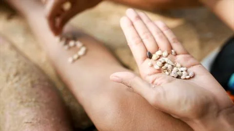 Female hands collect pattern of shells and sand, close up. Video. Pieces of 库存照片
