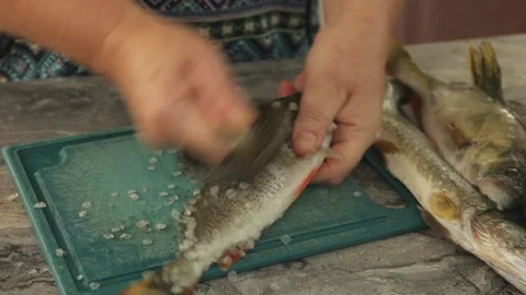 Female hands of the cook quickly skillfully river fish pike, Stock Footage 201324050