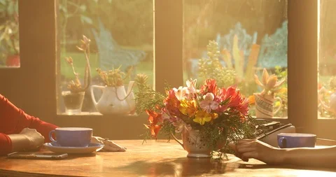 Female Hands with cup Stock Footage 112691371