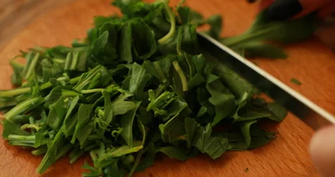 Female hands cutting arugula Stock Footage 244072802