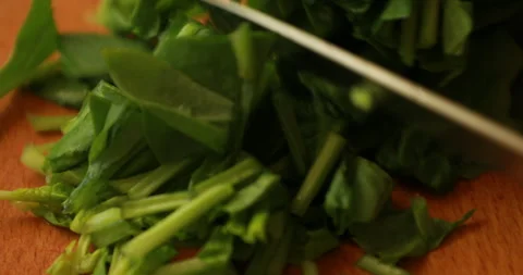 Female hands cutting spinach Stock Footage 244072958