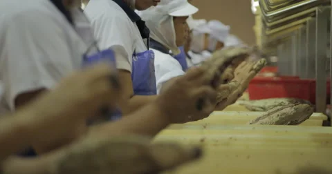 Female Hands Cutting Tuna Fish Stock Footage 60938461