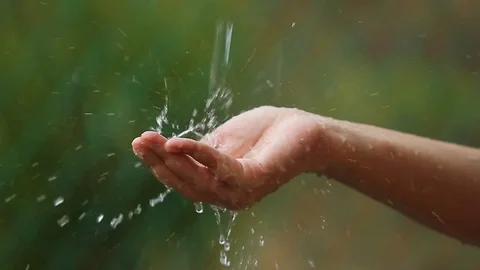 Female hands during raining day. Stock Footage 81646823