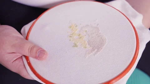 Female hands embroider a pattern on a fabric with a thread and a needle close-up Stock Footage 219855095