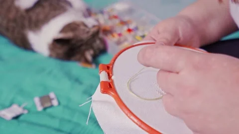 Female hands embroider a pattern on a fabric with a thread and a needle close-up Stock Footage 219855186