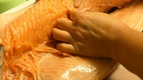 Female Hands Extracting Bones From Salmon Vídeo Stock 103461740